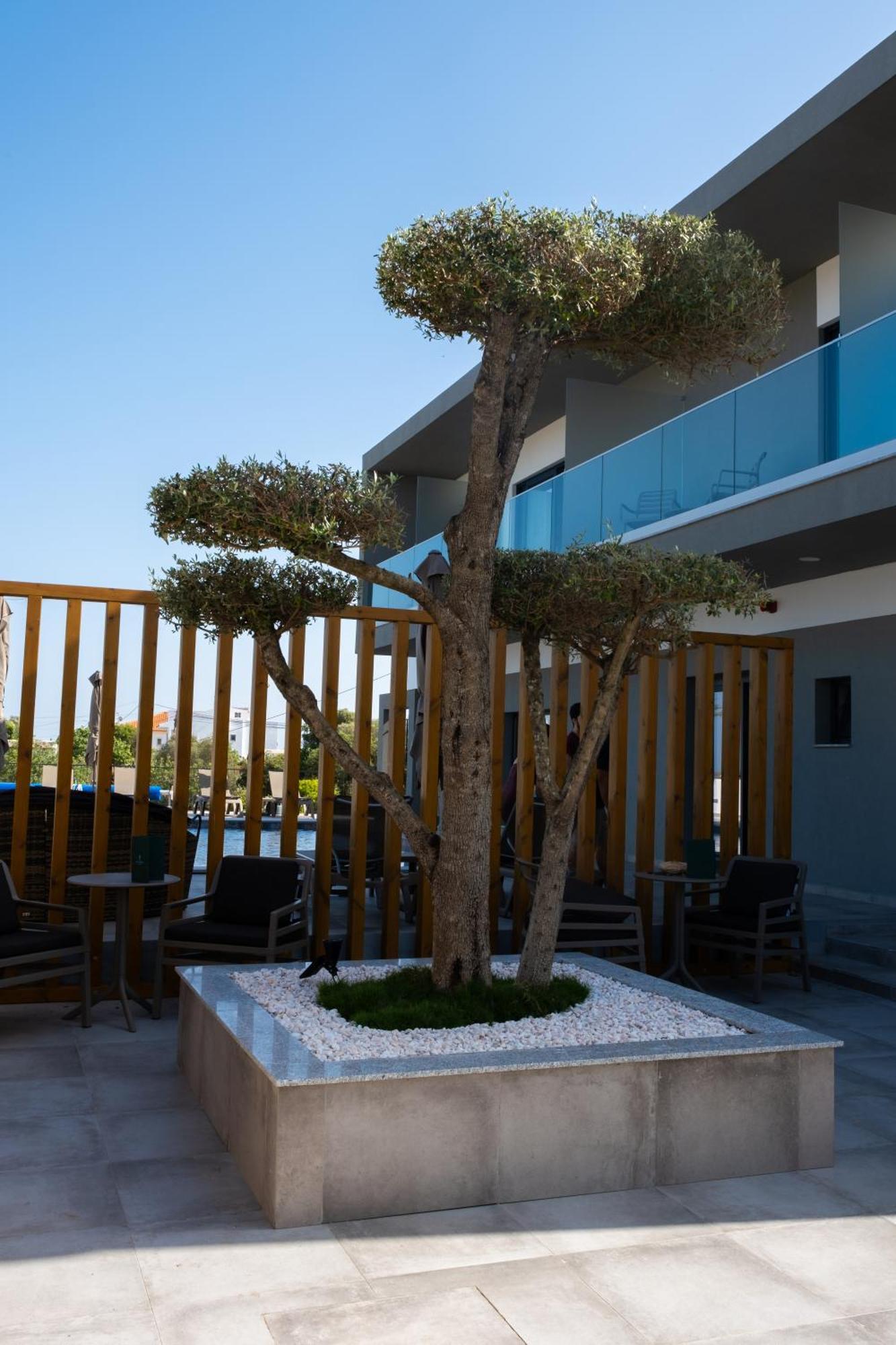 Ria Formosa Guest House Distrito de Distrito de Faro Exterior foto